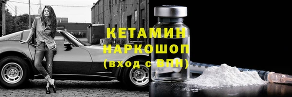 прущие грибы Михайловск