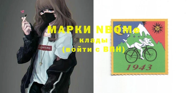 прущие грибы Михайловск