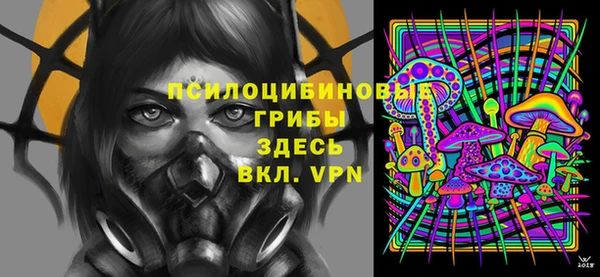 прущие грибы Михайловск