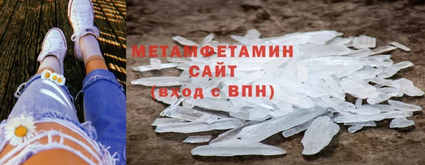 прущие грибы Михайловск