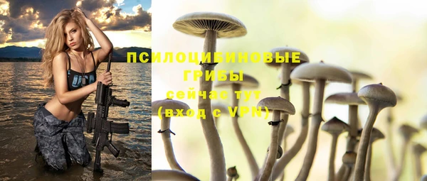 гашишное масло Михайлов