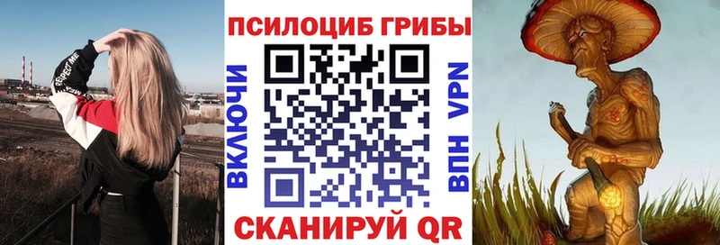 Галлюциногенные грибы GOLDEN TEACHER  Купить где  Уссурийск 